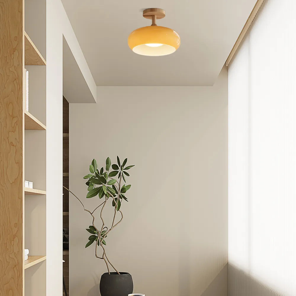 Modern Glass LED Ceiling Light